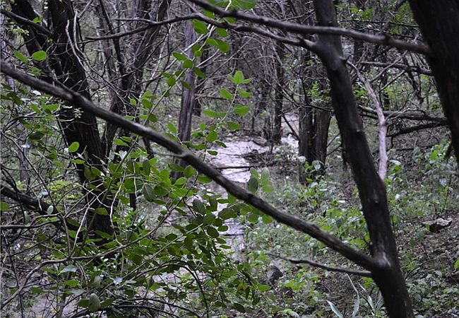 1st image of 704 Crystal Mountain Dr