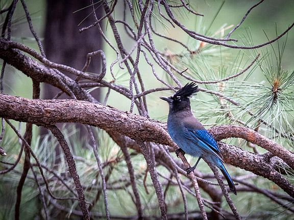 5th image of 7770 Forest Service 112 Rd