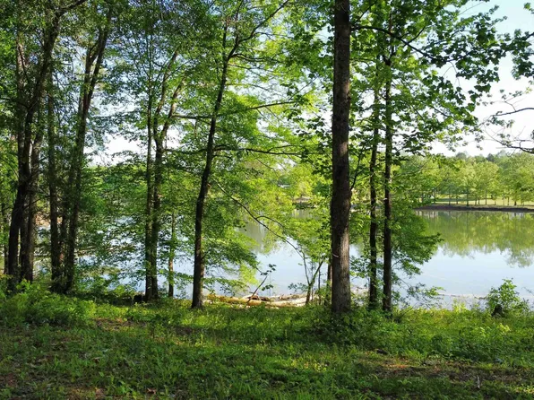 0 County Road 3102 #0, Double Springs, AL 35553