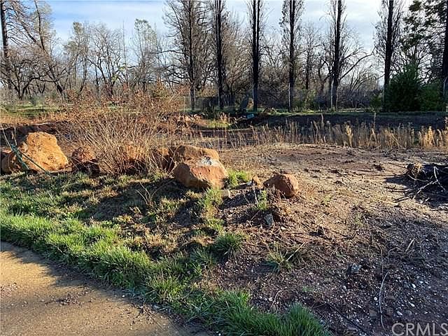 2nd image of 216 Berry Creek Dr