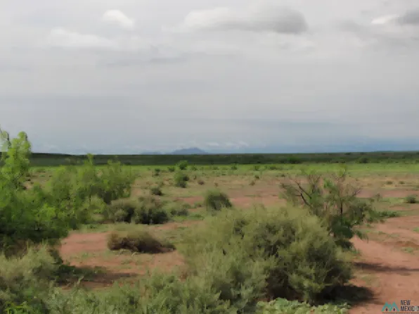 Country Ln SE, Deming, NM 88030