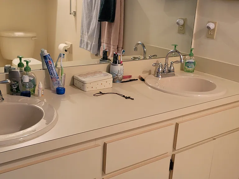 Pine Meadow master bath_02152023