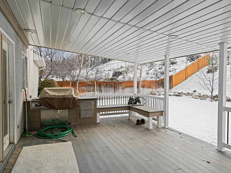 E Candle Spruce Cv — Photo 22