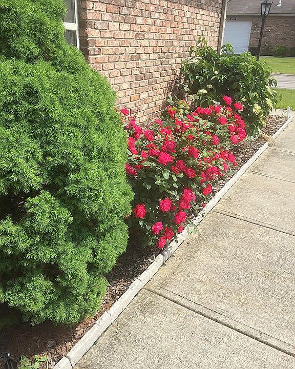 2nd image of 2721 Shakespeare Ln