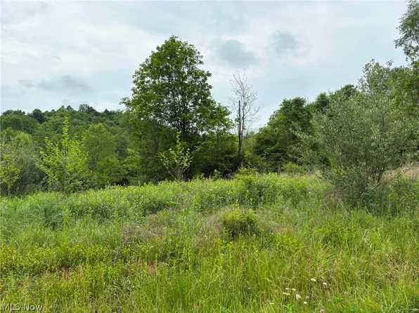 Burning Springs District Tract #17416, Elizabeth, WV 26143