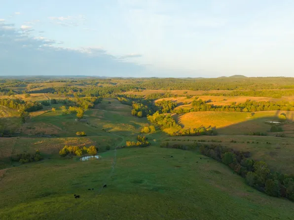 State Hwy W, Gainesville, MO 65655