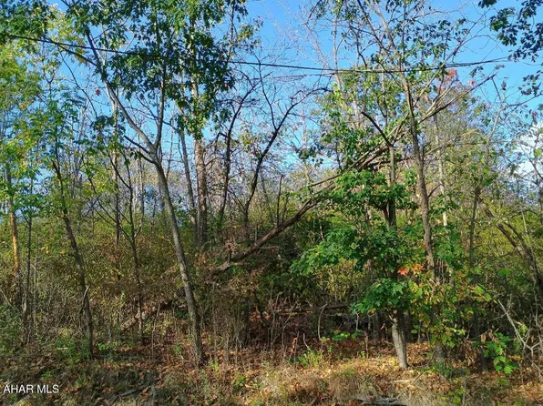 0 Harmony Dr, Altoona, PA 16601