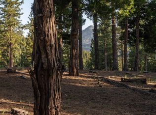 58 S Ridge Rd, Portola, CA 96122