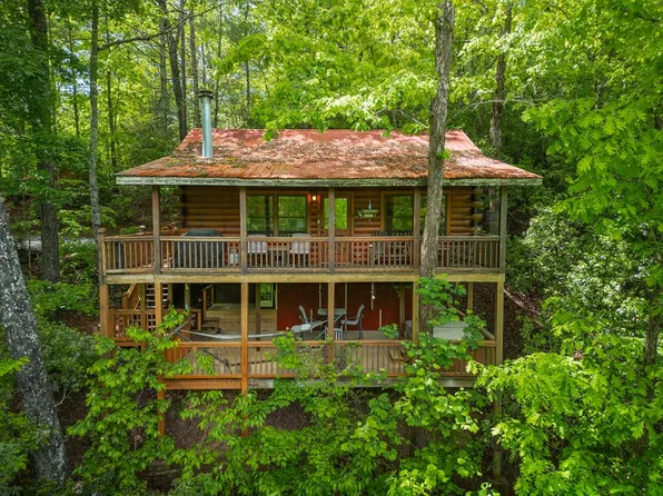203 Mountain View Dr, Cherry Log, GA 30522