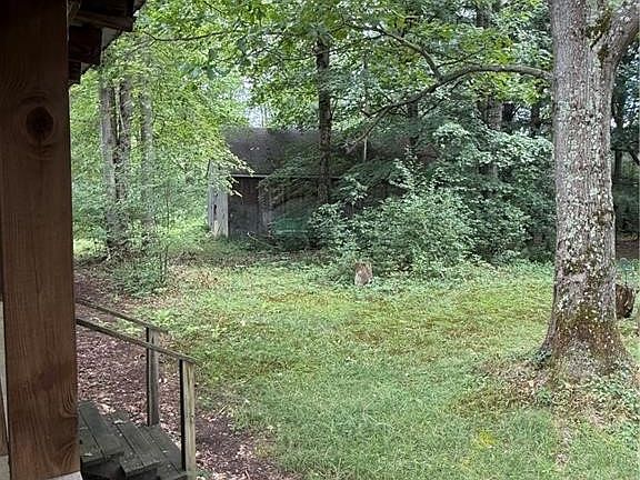 5th image of 679 Hog Back Rd