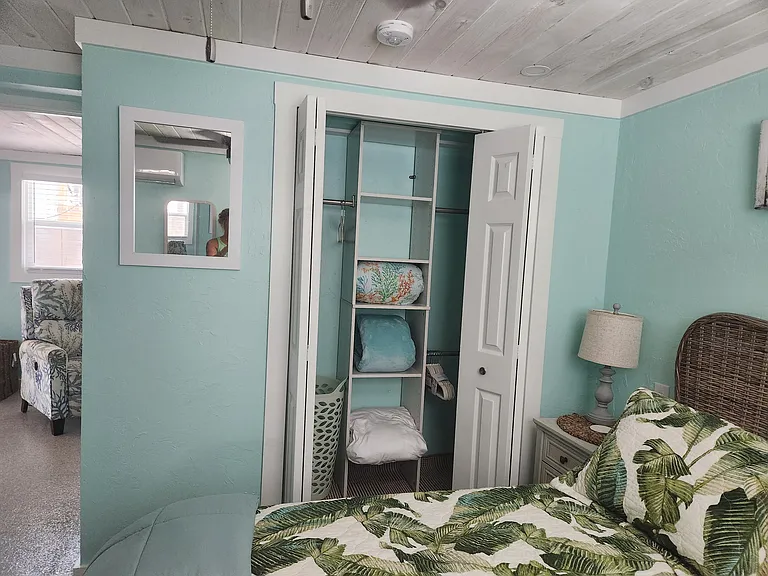 Bedroom closet with organizer