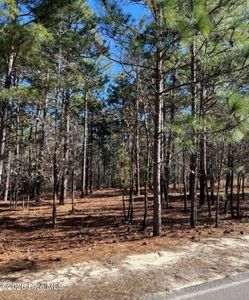 14 Kilbride Dr #3789R, Pinehurst, NC, 28374