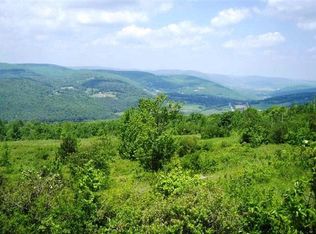 Donlan Heights Rd, Middleburgh, NY 12122