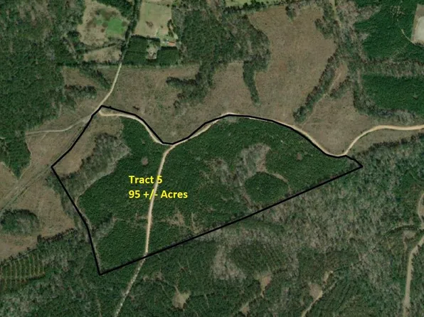 TRACT 5 County Road 255, San Augustine, TX 75972