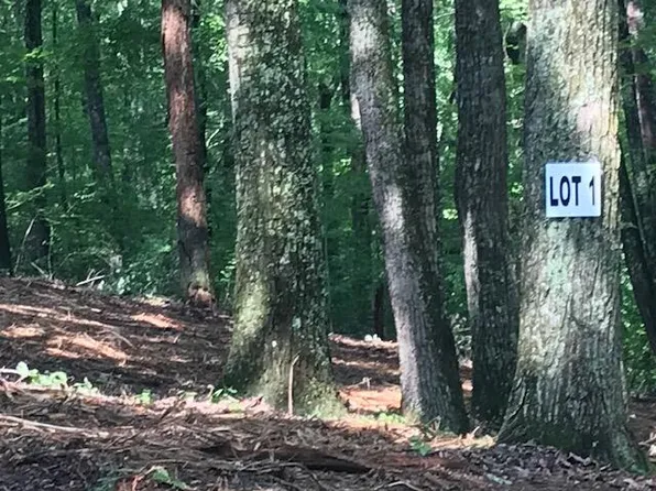 0 Piney Knob Dr, Spring City, TN 37381