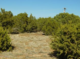 1763 Strawberry St, Show Low, AZ 85901