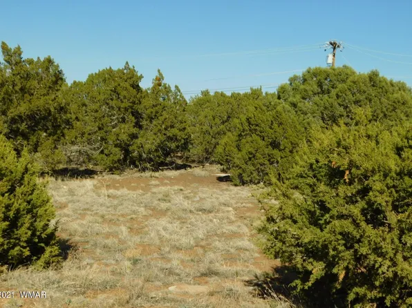 1763 Strawberry St, Show Low, AZ 85901