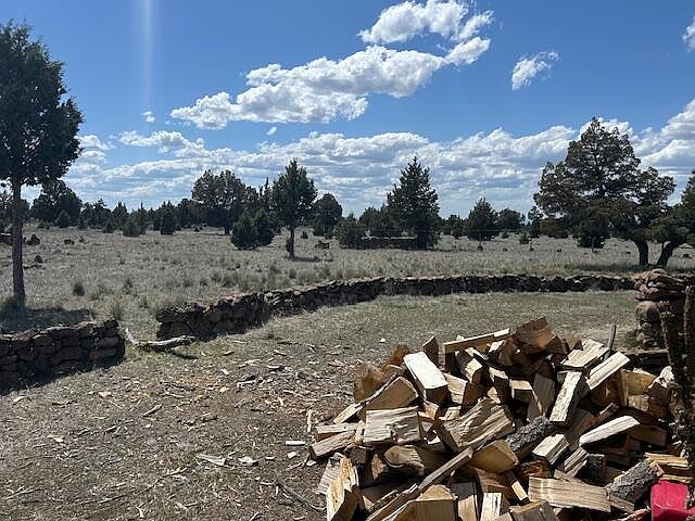 2nd image of Kitty Litter Ln