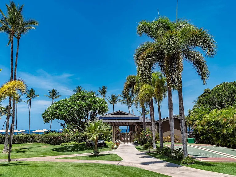 Wailea Alanui Dr — Photo 37