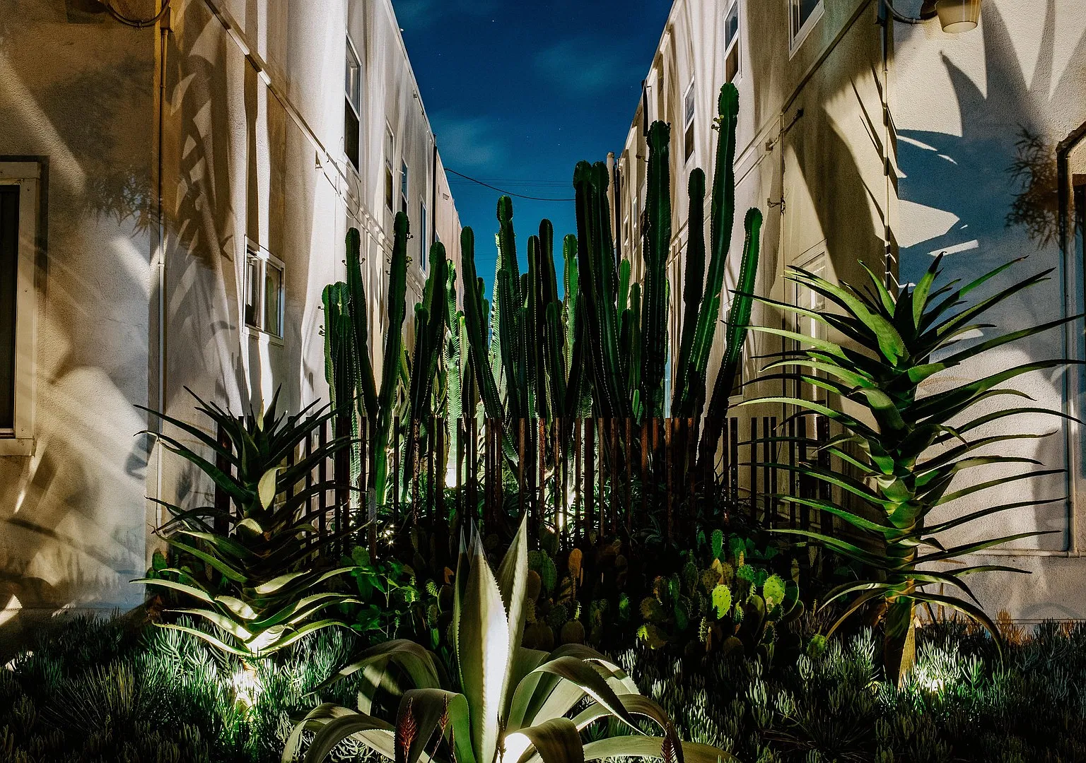 Community at Mi Apartamento, LLC — Photo 1