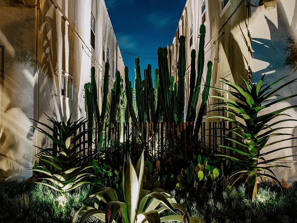 Community at Mi Apartamento, LLC