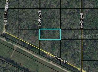 X Nora Ave, Hastings, FL 32145