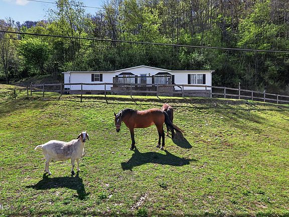 2nd image of 11343 Robinson Hollow Rd