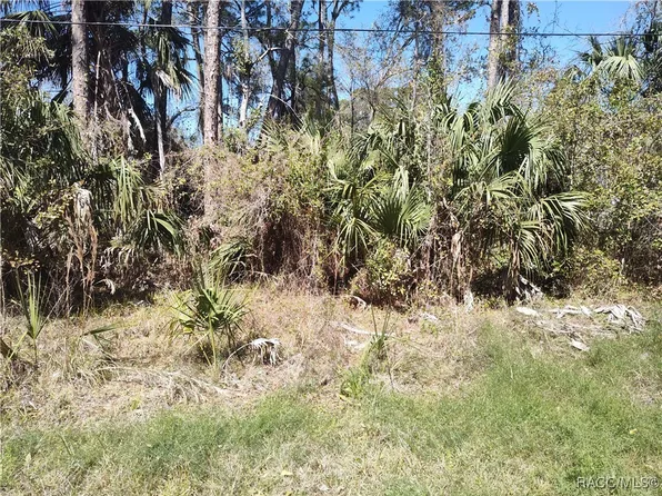 8213 W Ox Eye Pl, Homosassa, FL 34448