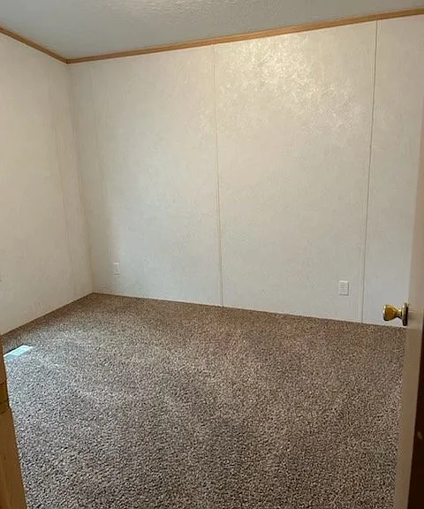 102 Green Tree Dr — Photo 4