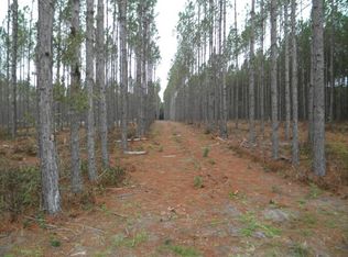SW County Road 341, Trenton, FL 32693