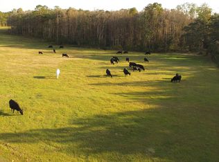 1787 River Rd LOT WP001, Caryville, FL 32427