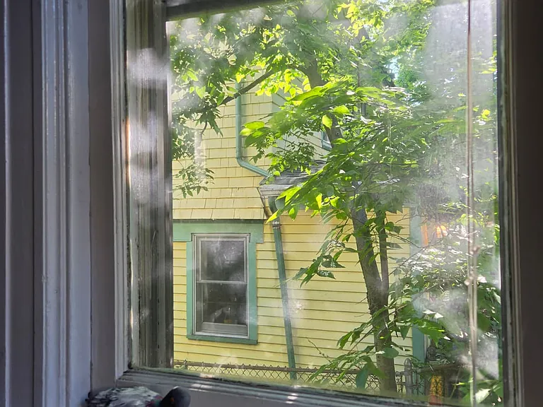 98 Hamilton Ave #1 — Photo 31