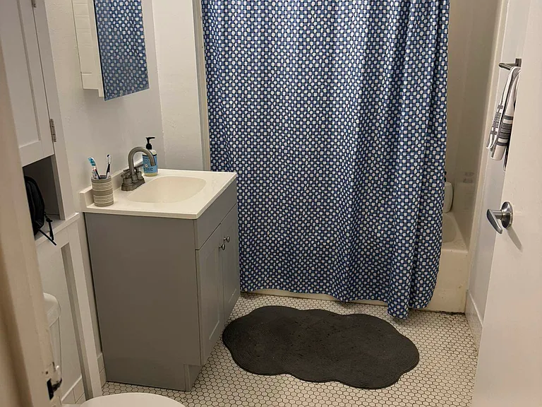 725 E 9th St #1F — Photo 17