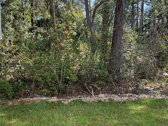 4th image of 1650 Iroquois Dr