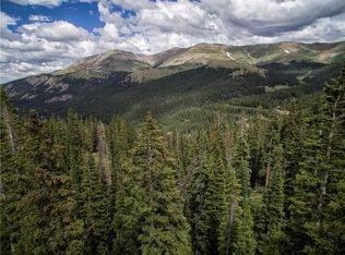 462 Kimmes Ln, Breckenridge, CO 80424