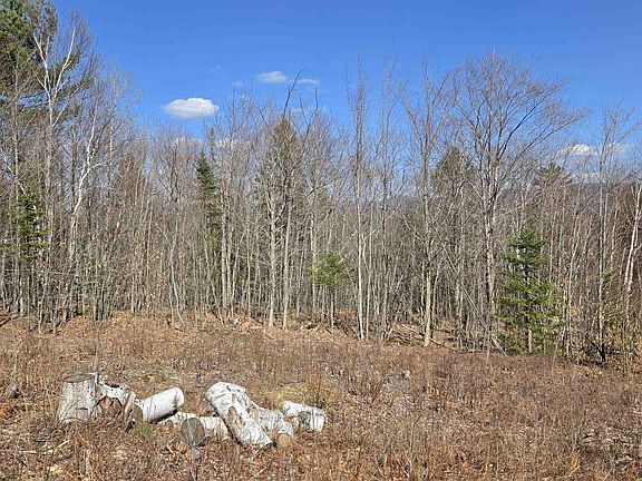 4th image of Cates Hill Road