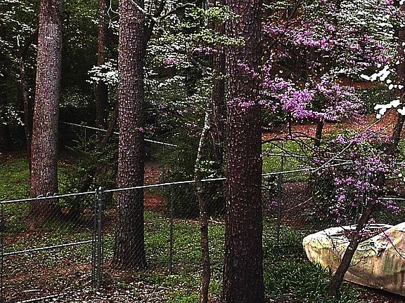 Uncovered parking? -- perhaps a dozen cars or so