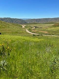 Amazing all year long