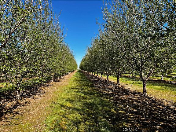 2nd image of 24186 Orangewood Rd