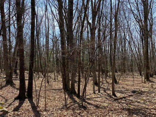 116 Beech Tree Ct, Hawley, PA 18428