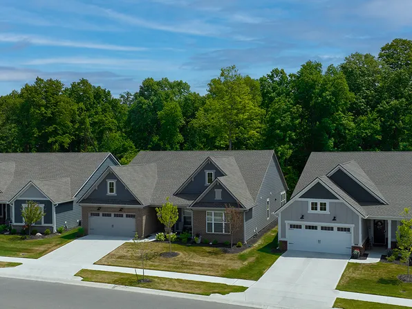 Alan Plan, Grey Hawk