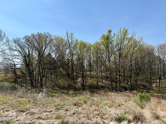 5th image of 14211 Brownsferry Rd