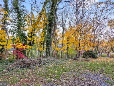 0 Orchard St Lot 1 & 2, Front Royal, VA, 22630