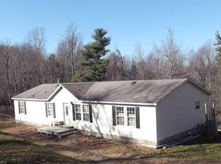 240 Pace Mountain Rd, Saluda, NC 28773