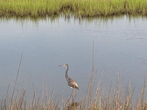 5th image of 249 Nelson Neck Road