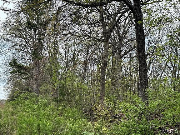 3rd image of 30738 N Stringtown Rd