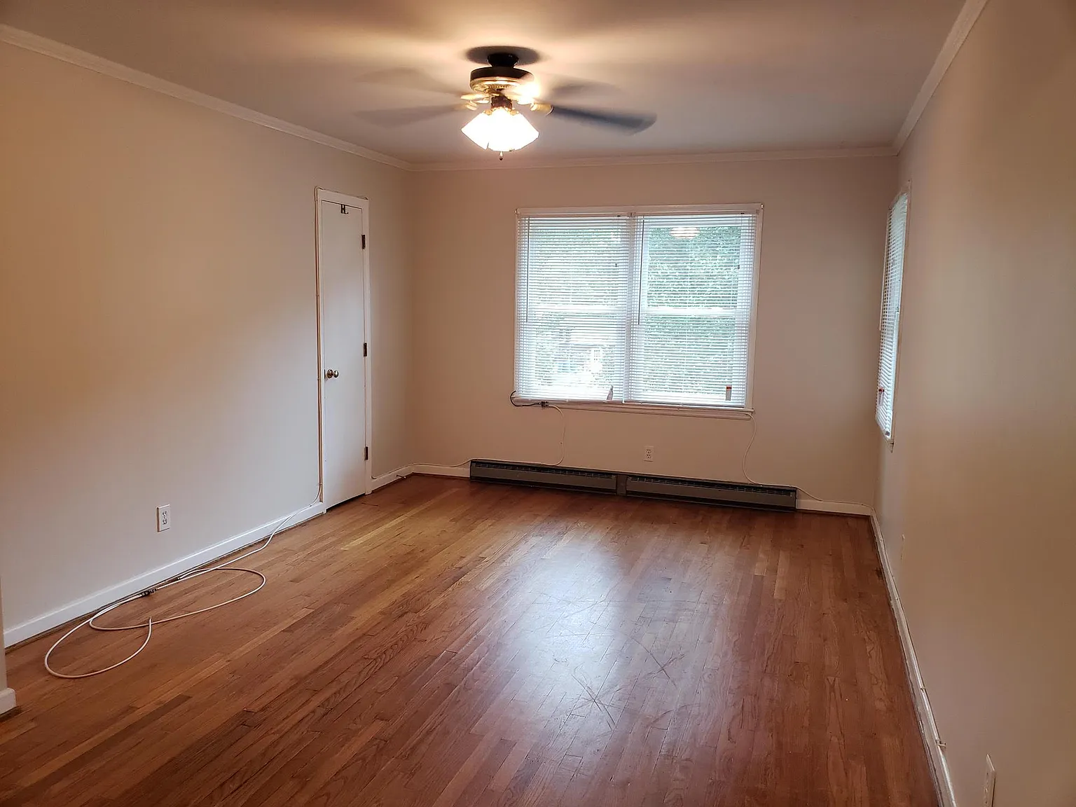 419 Banks Street - C — Photo 4