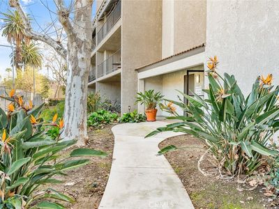 254 E Fern Ave APT 207, Redlands, CA, 92373