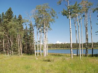 Hidden Lake Cir LOT 44, Angel Fire, NM 87710