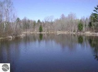 5052 Maple View Rd, Hale, MI 48739